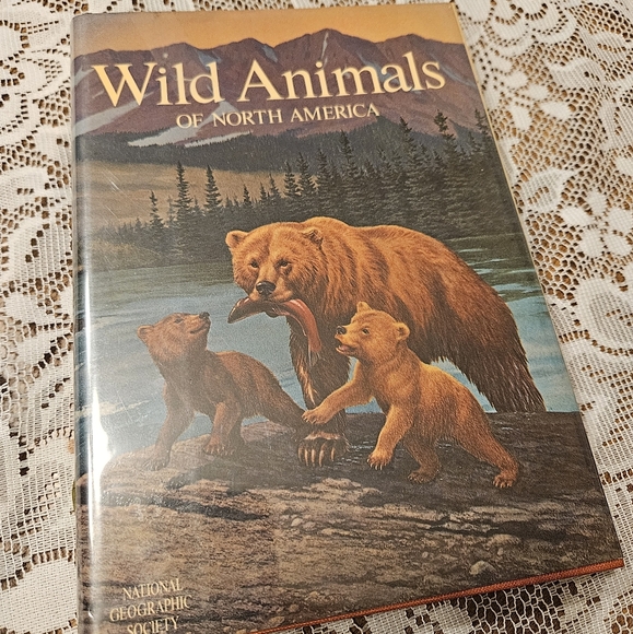 WILD ANIMALS OF NORTH AMERICA W/ DUST JACKET AND PLASTI-KLEER DJ COVER VTG 1971 - Picture 1 of 7
